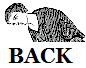 back button